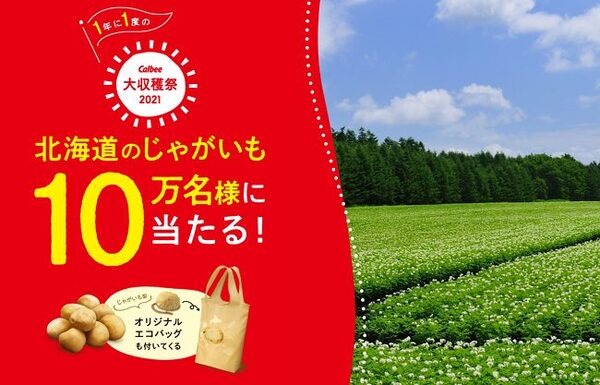 北海道カルビー