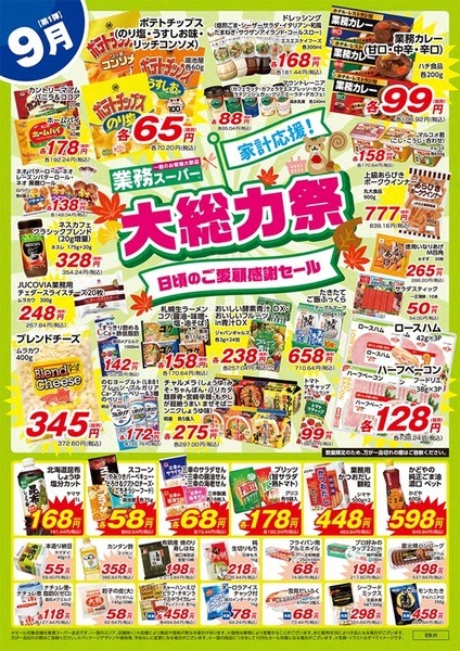 北海道にも業スがある