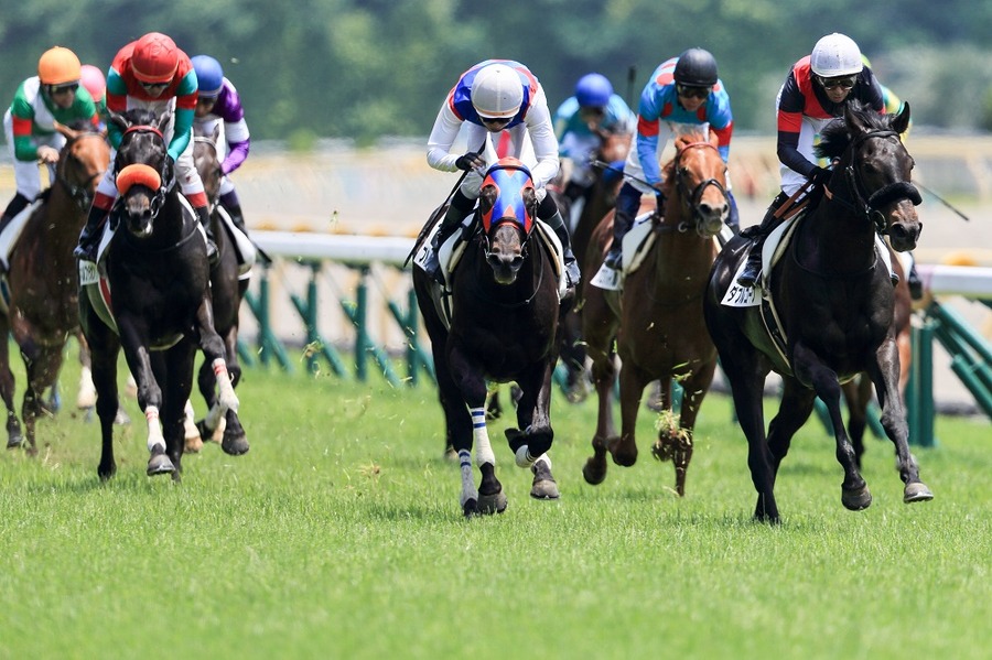 競馬場入場券の株主優待