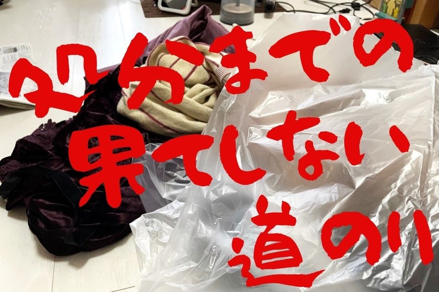 処分までの果てしない道のり