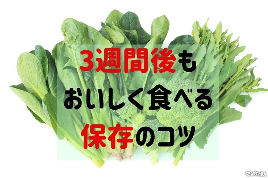 【野菜高騰】葉物野菜3種の「3週間もつ冷凍方法」と「おいしい解凍方法」