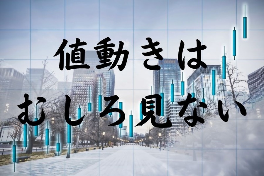 積立NISAの値動きはむしろ見ない