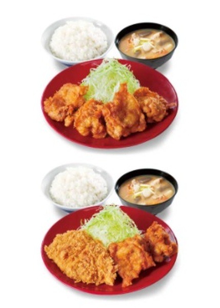 揚げ物だいすきです