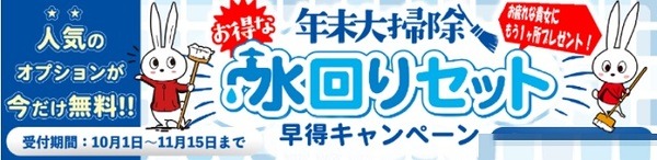 大掃除って人に頼んだ方がいいわよ
