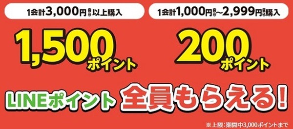 付与ポイントはコチラを確認