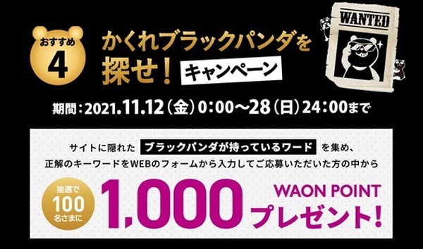 隠れパンダってなによ