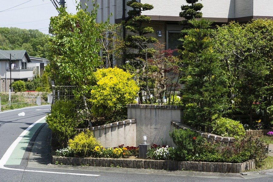 木を植えると助成金がもらえる　屋上・壁面等の緑化助成を利用しよう