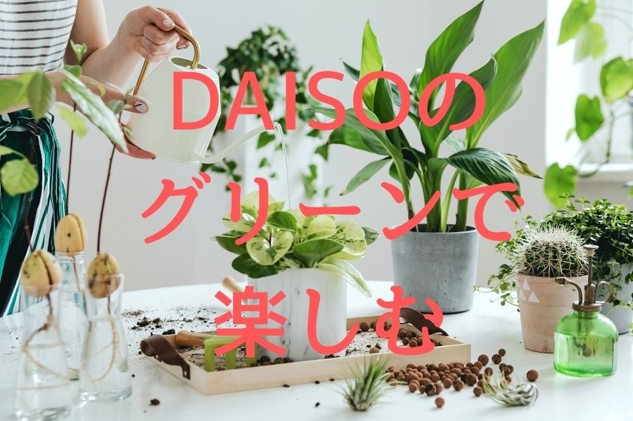 DAISOのグリーンで楽しむ