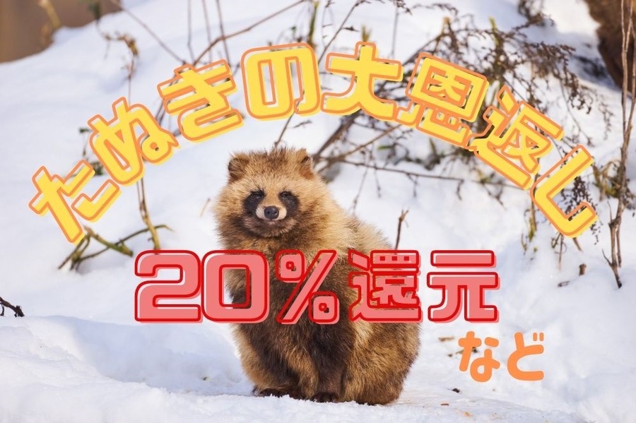 au PAY【たぬきの大恩返し冬】最大20％還元やお得なクーポン獲得　5つのキャンペーン