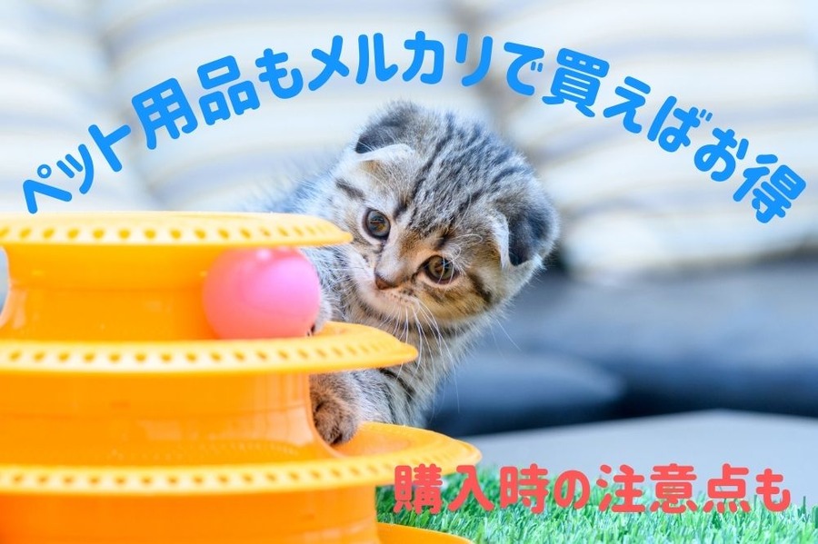 ペット用品もメルカリで買えばお得