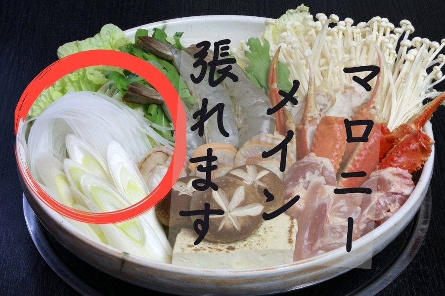 実はマロニーメイン張れます