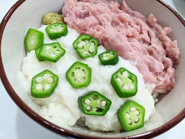 トロトロネギトロ丼