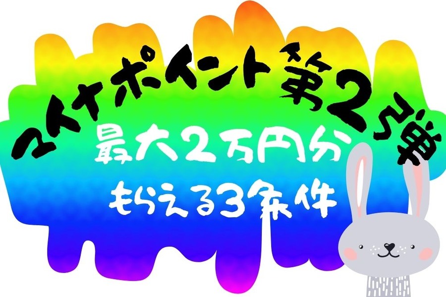 マイナポイント第2弾