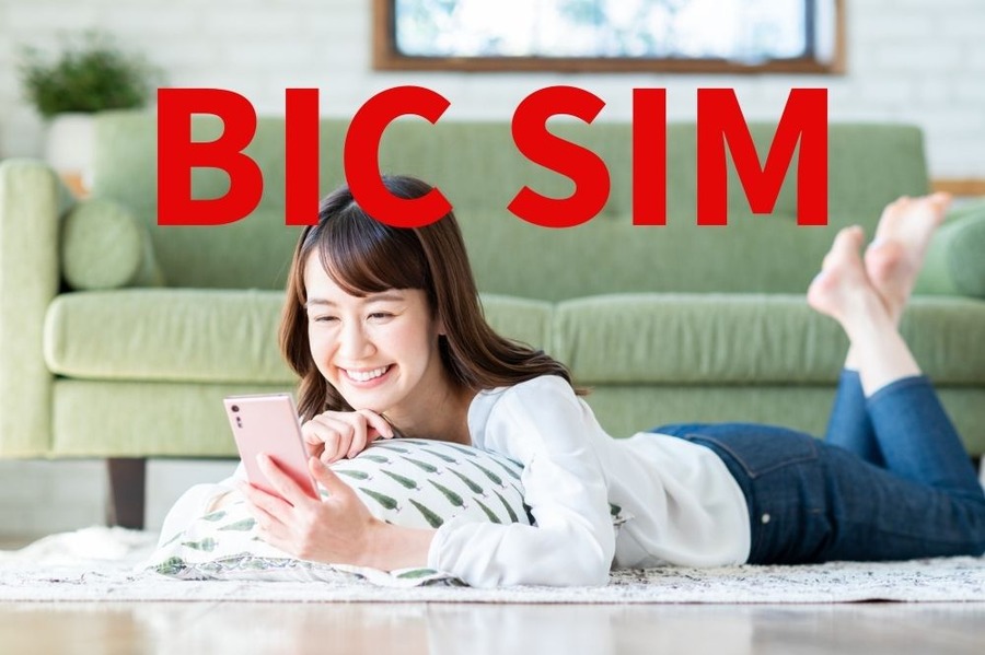 ビックカメラのBIC SIM