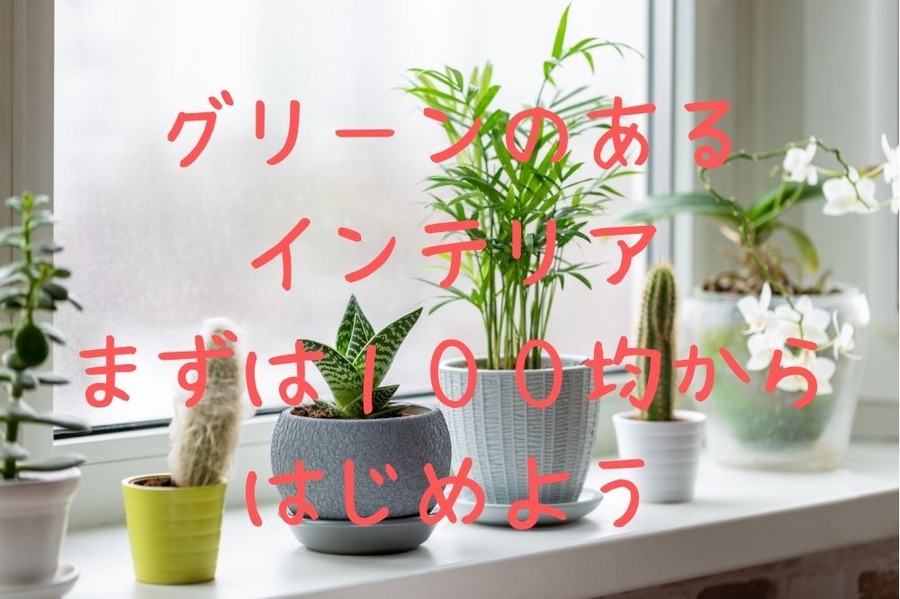グリーンのあるインテリア100均からはじめよう