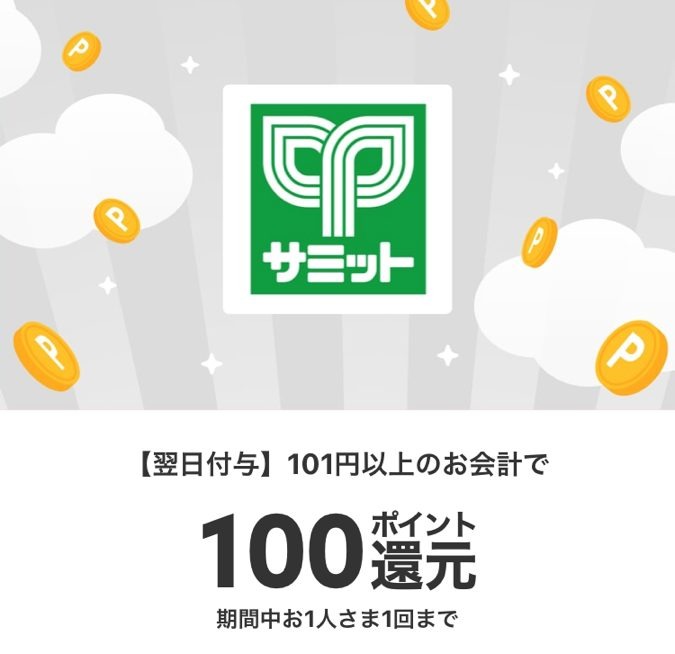 税込101円以上の購入で100ポイント還元