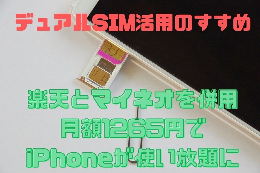 楽天とマイネオを併用