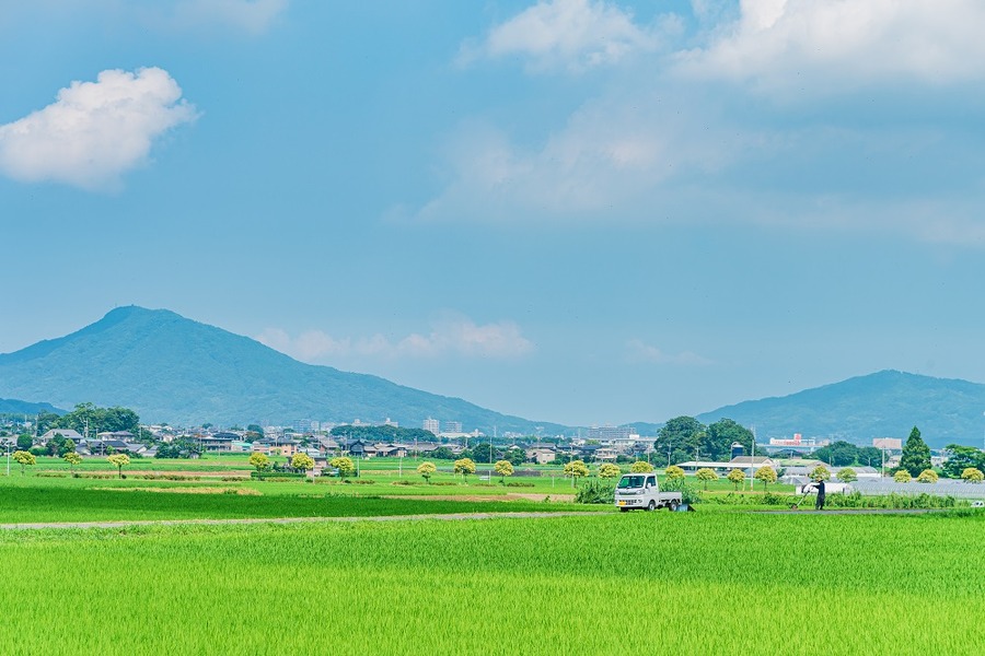 田舎で求められるスキル