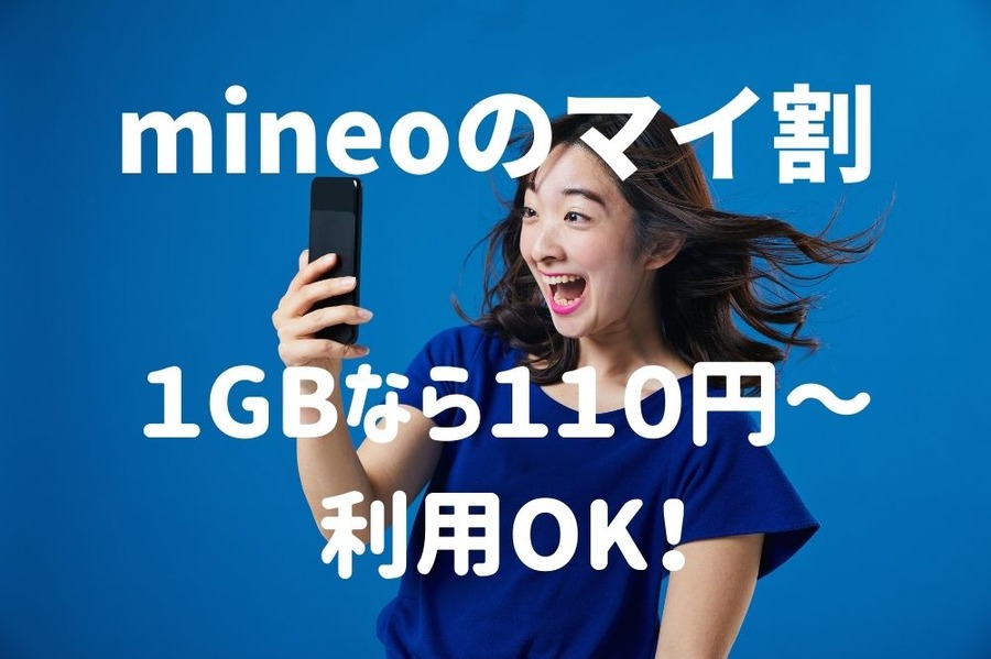 mineoのマイ割なら1GB110円～OK