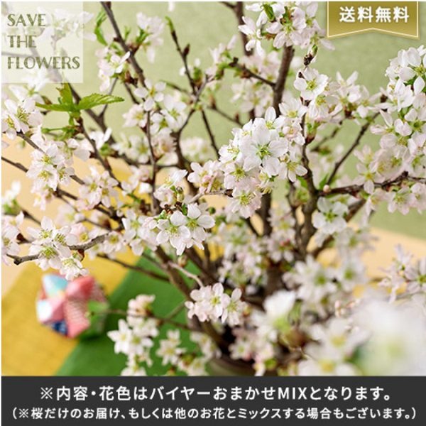バイヤー厳選おまかせミックス