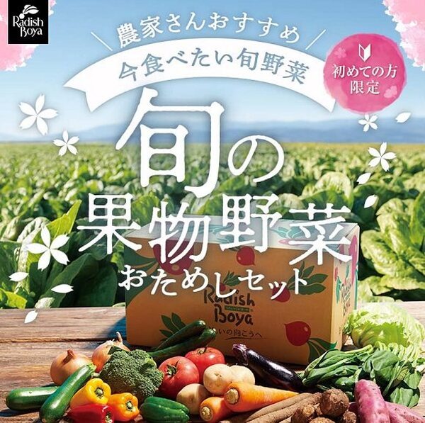 らでっしゅぼーや