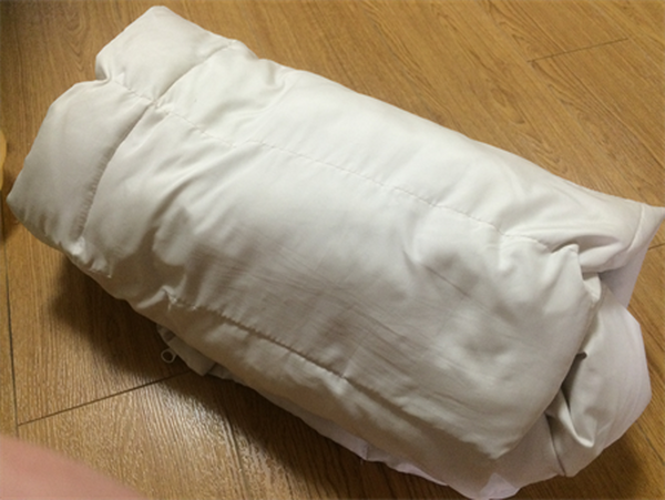 ダウンやカーペットなど冬物を自宅クリーニングで○万円の節約に