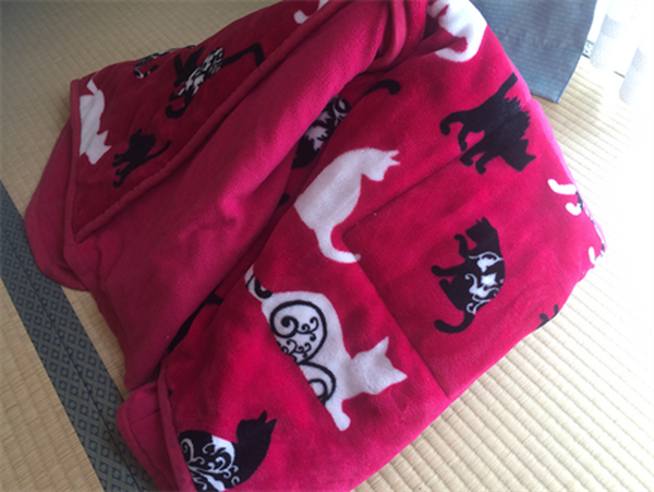 ダウンやカーペットなど冬物を自宅クリーニングで○万円の節約に