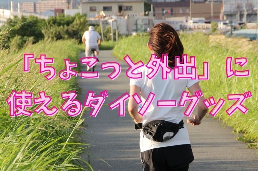 「ちょこっと外出」に 使えるダイソーグッズ
