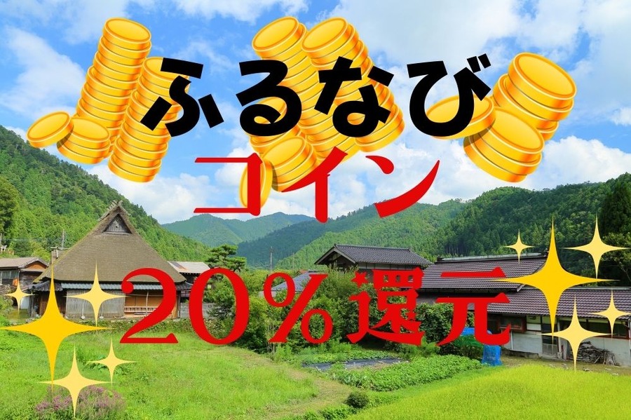 ふるなびコイン20％還元