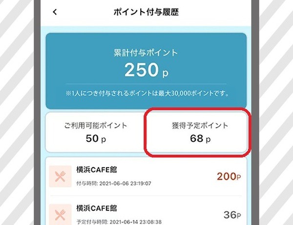 「獲得予定ポイント」に加算されていればポイント還元
