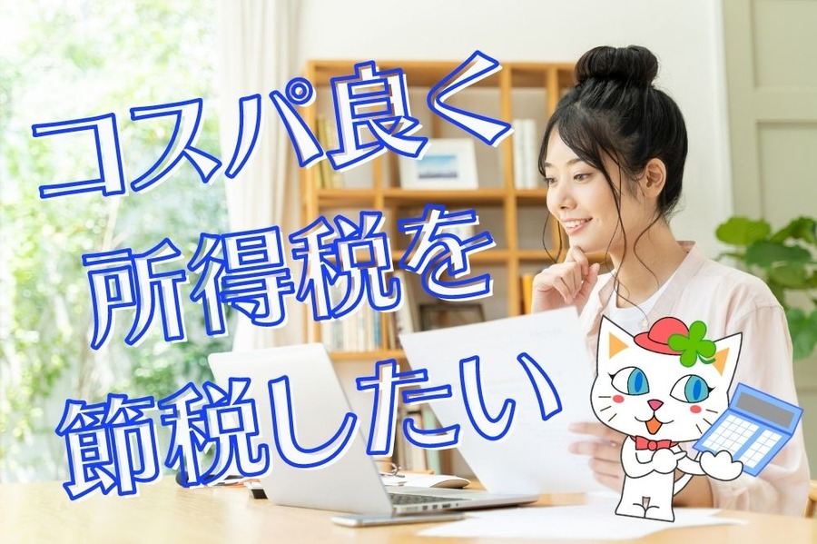 コスパ良く 所得税を 節税したい