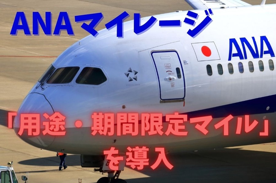 「用途・期間限定マイル」を導入