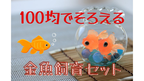 100均の「金魚飼育セット」　お祭りでとった金魚も少ない費用で住みやすく 画像