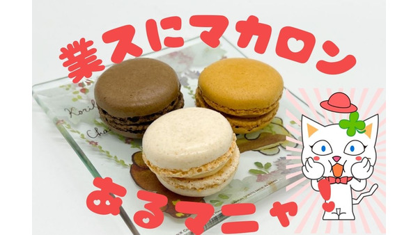【業ス】小腹が空いたときにぴったり！安くてボリューミーなカフェ系おしゃれ菓子3選 画像