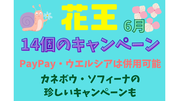 【花王キャンペーンまとめ】6月は14の豊富なキャンペーン　PayPay・ウエルシアは併用可能、カネボウ・ソフィーナの珍しいキャンペーンも 画像