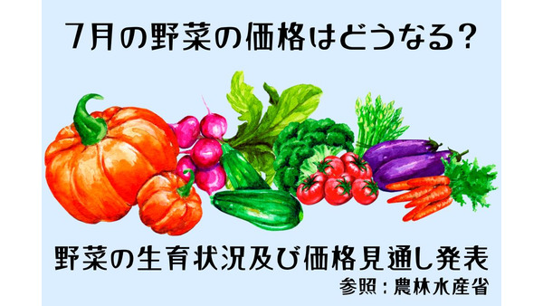 【7月の野菜の価格】にんじん、はくさい、レタスがお買い得！ 農林水産省より、野菜の生育状況及び価格見通し発表