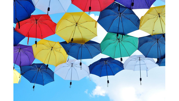 暴風雨にも負けない丈夫な傘がぞくぞく登場　私の「一生モノ」になる傘はどれかしら。