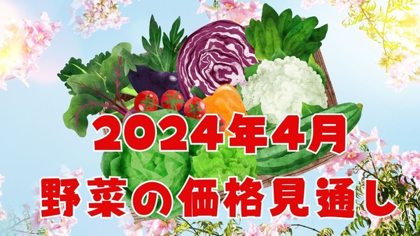 【4月の野菜の価格】今月もばれいしょがお買い得！農林水産省より、野菜の生育状況及び価格見通し発表 画像