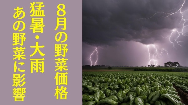 野菜価格（8月）大雨・猛暑の影響であの野菜が値上がり！ 代替野菜案とおすすめレシピ 画像