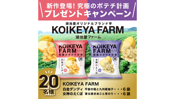 「うまい芋で作れば、うまいポテトチップスになる」湖池屋、新ブランドポテチ発売　Xフォロー＆リポストで12袋もらえる(8/18まで) 画像