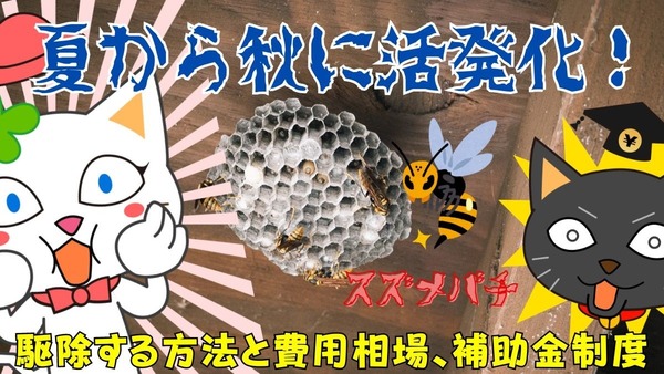 【怖いスズメバチ】夏から秋に活発化！駆除費用相場と補助金制度を紹介 画像