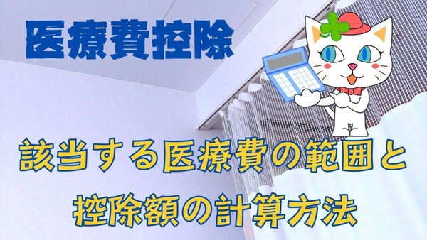 医療費控除に該当する医療費の範囲と控除額の計算方法を解説 画像