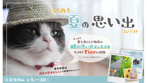 飼ってたら投稿！！「うちの子夏の思い出コンテスト」動物専門SNS『Tier』 画像