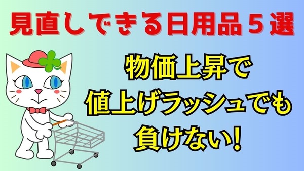 【物価上昇で値上げラッシュでも負けない】代替品や購入しない等の見直しできる日用品5選 画像