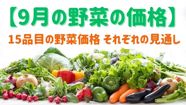 【9月の野菜の価格】野菜の高値は続く？ 農林水産省より、野菜の生育状況及び価格見通し発表 画像