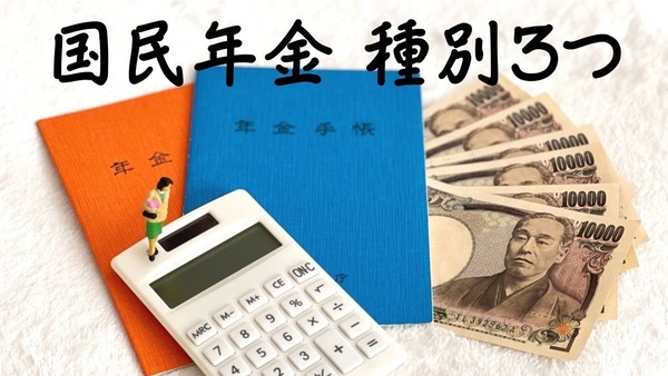 【国民年金】3つの種別とは？　各種別の補填策も 画像