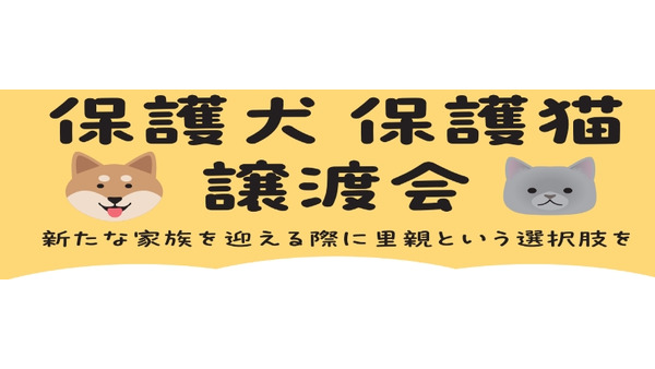 保護犬・保護猫譲渡会を開催　綿半ホームエイド都留店(9/22、10/27、11/24) 画像