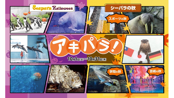 【八景島シーパラダイス】ハロウィンと秋をテーマにしたイベント「アキパラ！」を開催(10/1-31) 画像