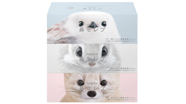 【ネピア】北海道の動物を起用した限定「鼻セレブティシュ」発売　シマエナガの非売品グッズ当たるキャンペーン(10/1-10) 画像