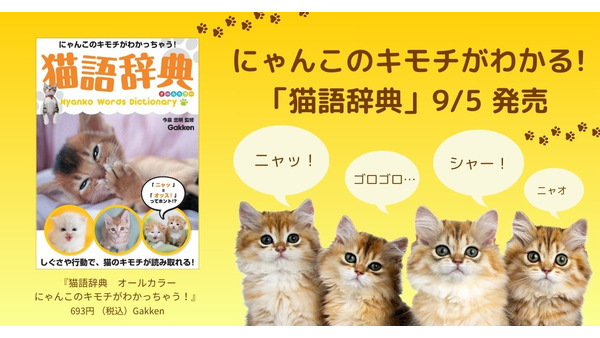 猫の気持ちがわかる！『猫語辞典』新装版発売 画像